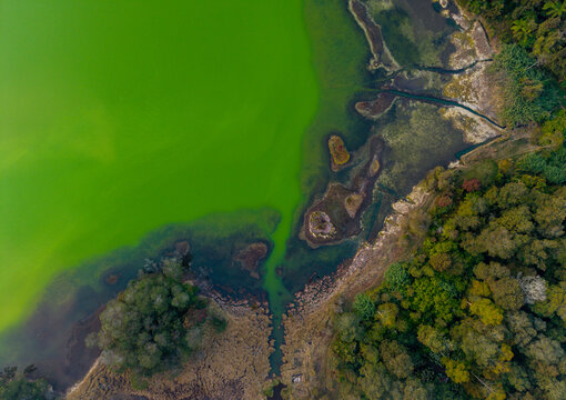Aerial view of Telaga Warna Dieng featuring its vibrant green water, lush surrounding forest, and intricate shoreline in Indonesia.