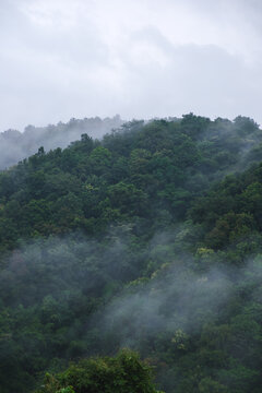 Landscape of the fog flowing over mountains and forest in the morning