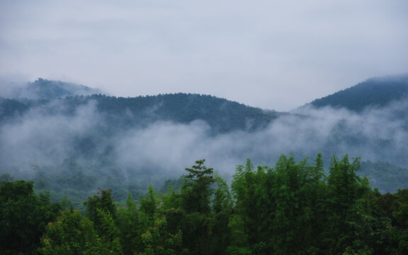 Landscape of the fog flowing over mountains and forest in the morning