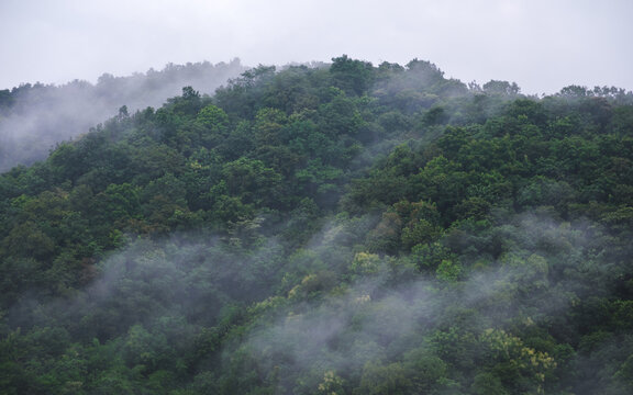 Landscape of the fog flowing over mountains and forest in the morning
