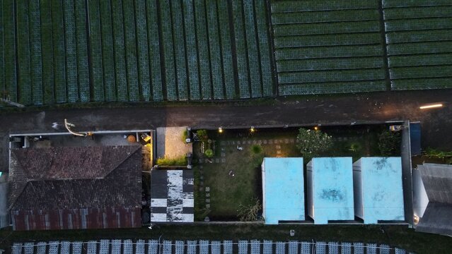 Aerial view of Kintamani with a house featuring a tiled roof and a garden with small blue-roofed structures, surrounded by agricultural fields in Kintamani, Bali, Indonesia.