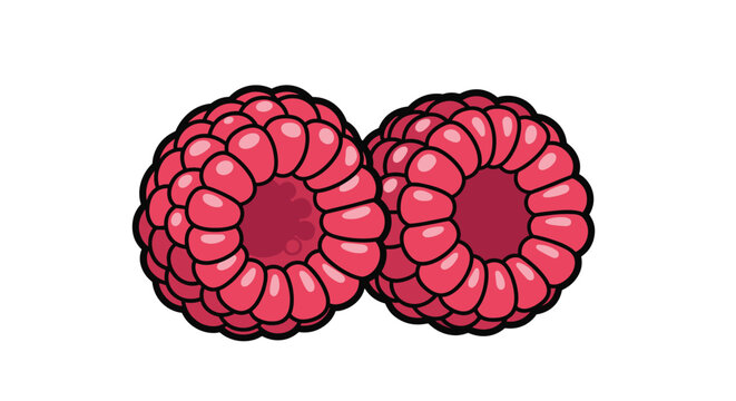 Two ripe red raspberries side by side with a detailed texture isolated on a clean white background in flat cartoon style.