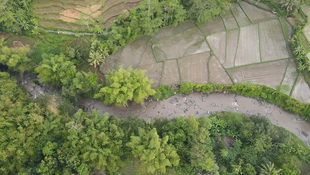Aerial view of lush green rice terraces and a winding river flowing through the rural landscape of Boyolali, Central Java, Indonesia.