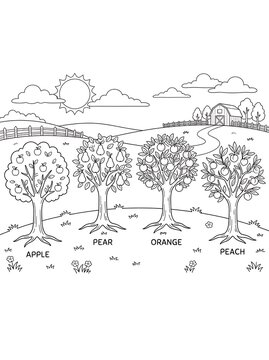 Educational fruit trees coloring page showing apple pear orange and peach with labels in scenic countryside farm landscape.