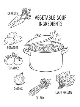 Vegetable soup ingredients coloring page with labeled healthy food items including carrots potatoes onions tomatoes celery greens.