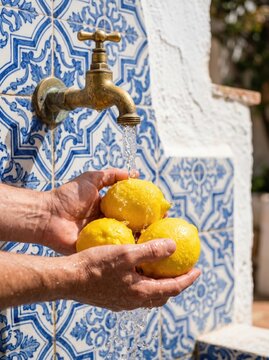 Hands washing fresh yellow lemons under running water from brass tap against blue ceramic tiles at Amalfi coast.