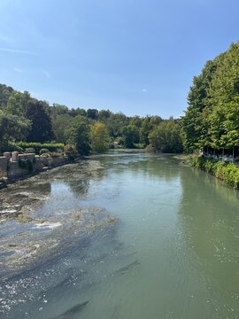 river in the forest