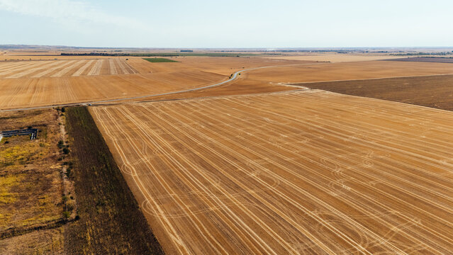 Aerial view of harvested wheat fields with tractor tracks and a winding road stretching across the rural landscape in Indjija, Vojvodina, Serbia.