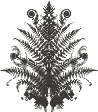 An inkblot-style design that spreads symmetrically to form a detailed fern or bracken shape. The design features intricate patterns and organic forms, creating an abstract yet natural visual.