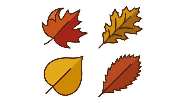 A collection of vibrant autumn leaves featuring diverse botanical shapes and warm fall colors for seasonal design projects