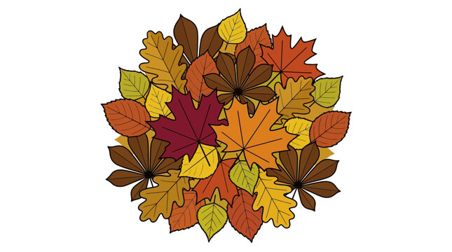 Colorful Assortment of Autumn Leaves Arranged in a Circular Shape Representing Seasonal Foliage and Harvest Celebration Decorative Elements
