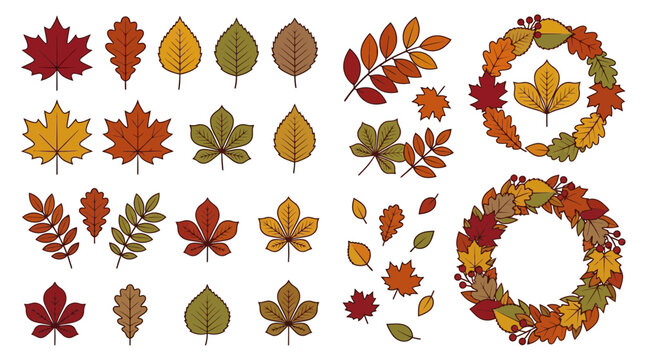 Set of Colorful Autumn Leaves and Decorative Foliage Wreaths for Seasonal Fall Design Projects and Thanksgiving Holiday Decoration Graphics