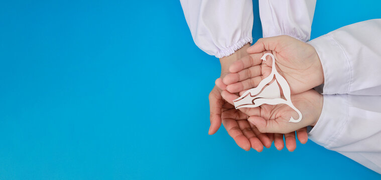 Doctor hand holding paper uterus brings hope, care, support and trust for woman health with compassionate medical treatment focus