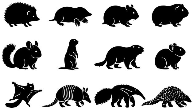 Small mammals silhouette set isolated on white background vector illustration