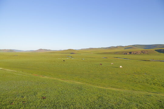 Vast green steppe landscape in Arkhangai Province, Mongolia