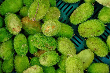 Fototapeta premium Top view of Momordica dioica, commonly known as spiny gourd or spine gourd