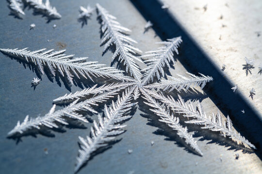 Feathery frost crystals branching across a cold metal surface