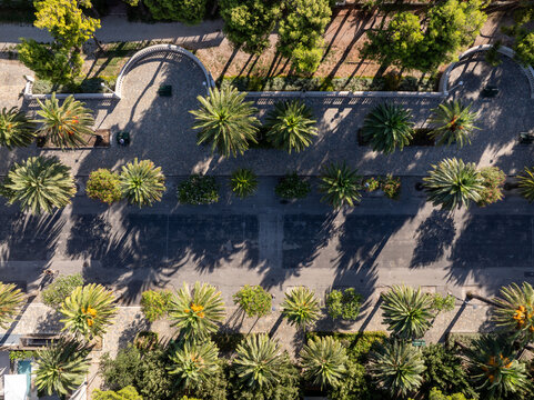 Aerial view of the palm-lined promenade with lush trees and paved walkways in San Benedetto del Tronto, Marche, Italy.