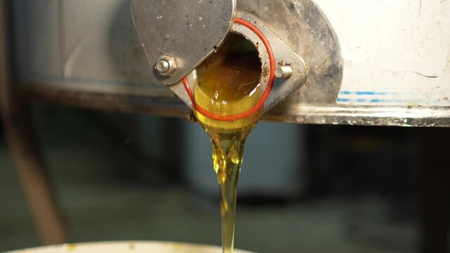 Freshly extracted, unfiltered honey flowing from the outlet of a centrifugal honey extractor