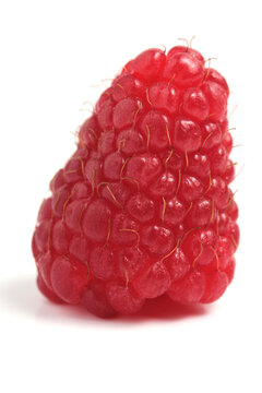 Single large ripe red raspberry berry standing vertically isolated on white background studio shot.