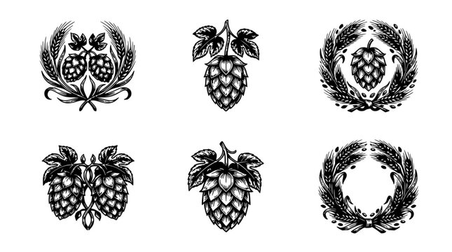 Hop set with botanical illustrations featuring hops cones, wheat stalks, laurel leaves with vintage texture and monochrome design