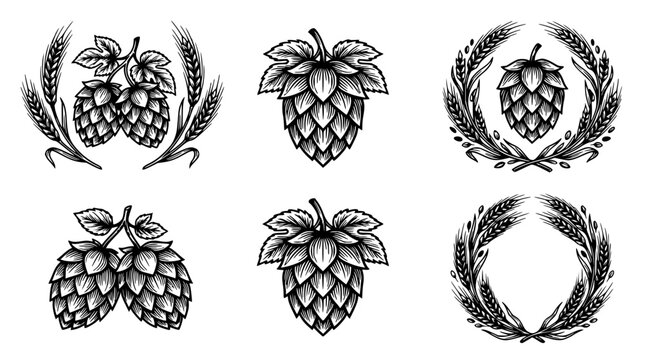 Hops set with botanical illustrations featuring hop cones, wheat stalks, laurel leaves with vintage style and black and white design