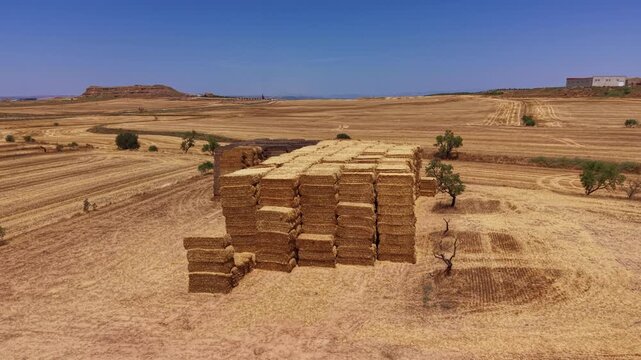 Large stack of rectangular hay bales piled high in a dry harvested field under clear blue sky, surrounded by arid landscape with scattered trees and distant hills