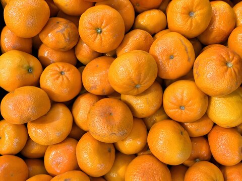 Close-up full frame view of a large pile of fresh, ripe, vibrant orange tangerines or mandarins, perfect for a healthy snack or citrus juice
