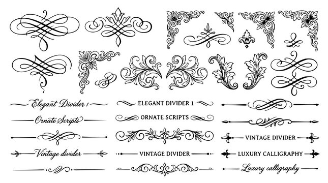 Elegant Calligraphic Divider Set with Ornate Scripts Vintage Borders and Luxury Flourish Vector Illustration Collection