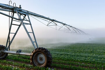 Obraz premium The center-pivot irrigation system slicing through a misty farm field