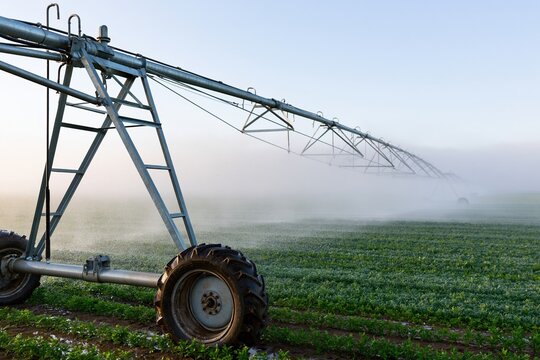 The center-pivot irrigation system slicing through a misty farm field