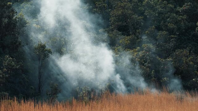 Steam vent smokes and fumes in the National Park in Hawaii, USA