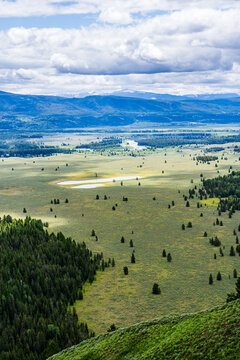 Mountain Valley with a vertical sweep of grassland, forest and cloudy
