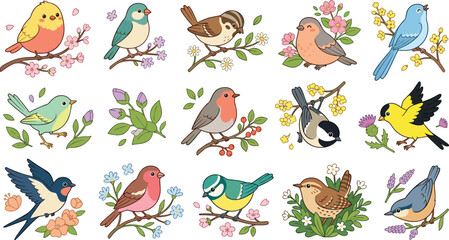 Obraz premium Cute Spring Birds and Blooming Botanical Branches Vector Illustration Set with Colorful Sparrows Finches Robins Chickadees and Wildflowers for Nursery Designs