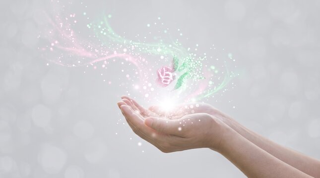 Magical glowing pink rose flower blooming from open human hands with sparkling fairy dust and light particles, fantasy of love, beauty, nature protection, spring season, gift
