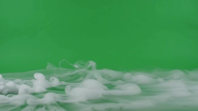 Dense white smoke or dry ice fog rolling, green screen video 4K. vapor gas steam cloud mist