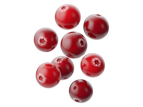 Fresh red cranberries arranged on white background with cranberries