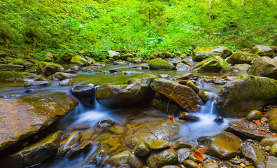 small brook rushing over a stones in mountain forest