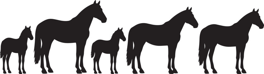 Obraz premium Set of Five Black Horse Silhouettes in Various Sizes for Illustrations, Logos, Branding and Vector Designs