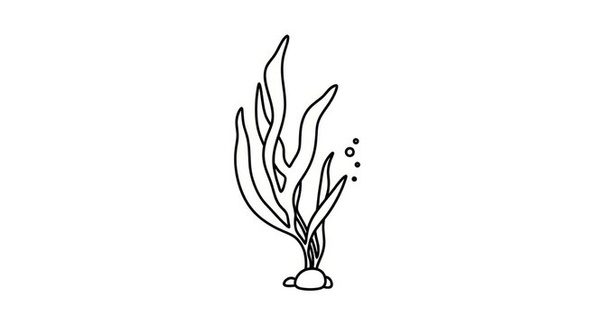 Seaweed ocean plant illustration.