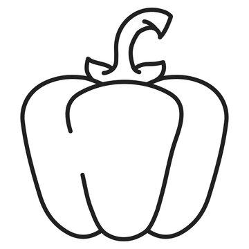 Green bell pepper vector illustration with stem