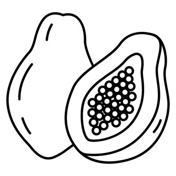 Minimalist papaya vector icon illustration with clean lines Passion fruit cut in half showing seeds inside