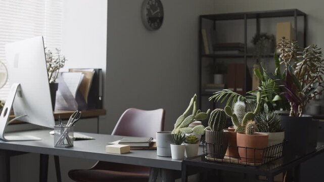 Empty modern office desk featuring computer monitor, stationery, and potted cacti plants. Clip is ideal for remote work ads or workplace wellness campaigns