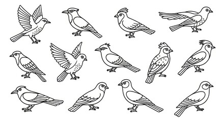 Obraz premium Various Birds in Different Poses.
