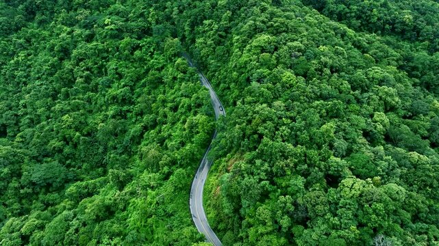 Aerial forest road with car creating abstract background for electric vehicle, ESG, sustainability and green investment business concepts.