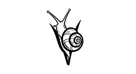 black and white snail illustration. © Slowme