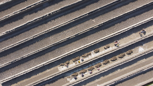 Aerial view of a brick field with rows of drying clay bricks and workers moving between them in Dhaka, Bangladesh.