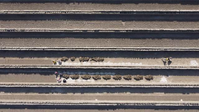 Aerial view of workers arranging rows of bricks at a brick field in Dhaka, Bangladesh.