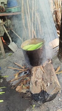 Adding Firewood Under Metal Pot Cooking Fresh Corn Cobs