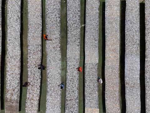 Aerial view of workers drying fish on large mats under the sun in Cox's Bazar, Chittagong Division, Bangladesh.